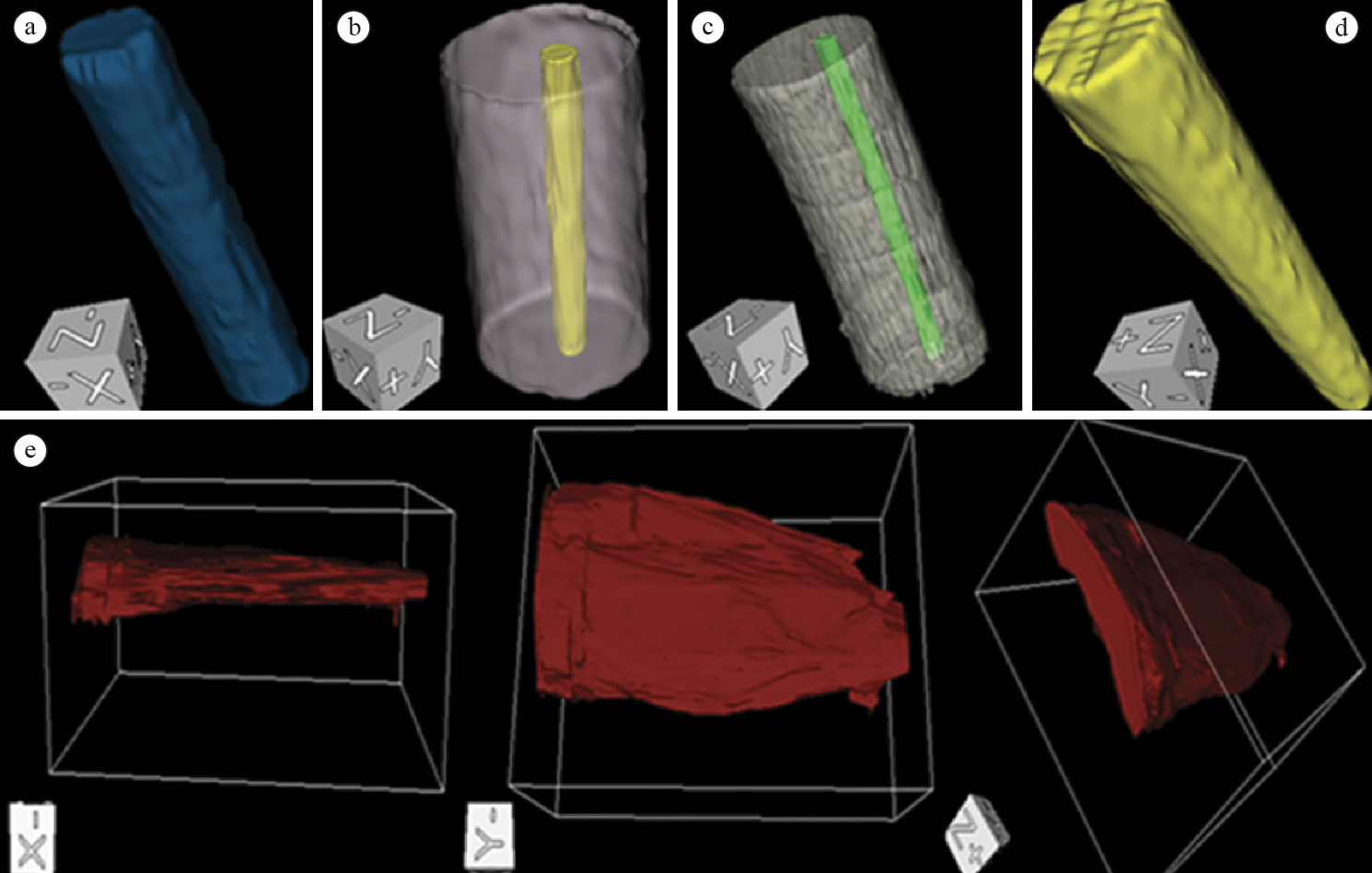 Typical 3D-UBM images of the four phantoms and for the rat right-side hindlimb lateral gastrocnemius at different view angles, generated after segmentation using the TurtleSeg software. (a) PH01LCY, (b) PH10SCY, (c) PH10SSCY, (d) PH10LCO and (e) lateral gastrocnemius.