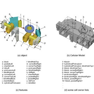 Cellular Model