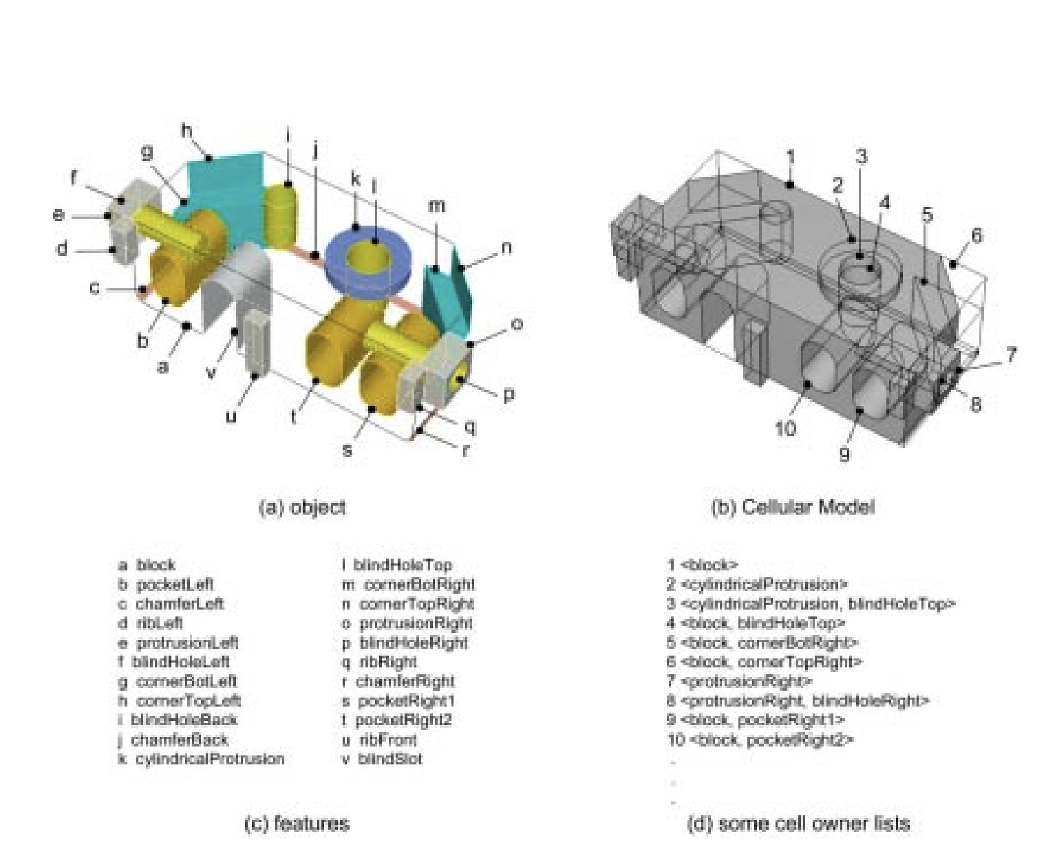 Cellular Model