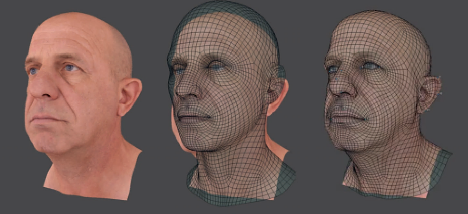 The template mesh warped to an input head model. A low-resolution template is shown for illustrative purposes