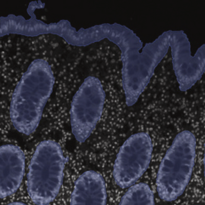 Representative multispectral images 