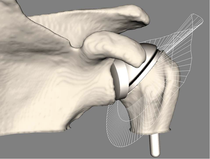  The visualisation of ROM by means of envelopes.