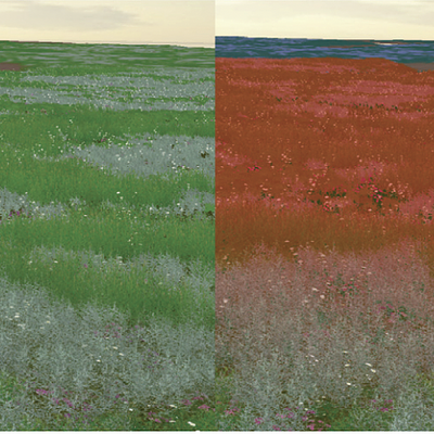 Transition of the various LODs in the virtual Paulinapolder. Green are the regular plant models, red are the billboards, blue is the terrain color map.