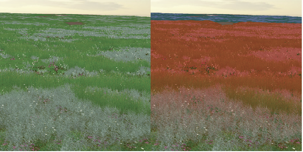Transition of the various LODs in the virtual Paulinapolder. Green are the regular plant models, red are the billboards, blue is the terrain color map.