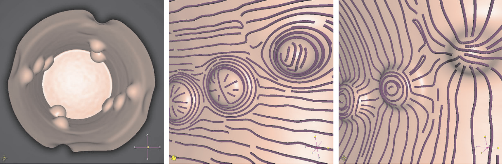 Streamlines of curvature on the implicit iso-surface embedded in an artificial 3D volume