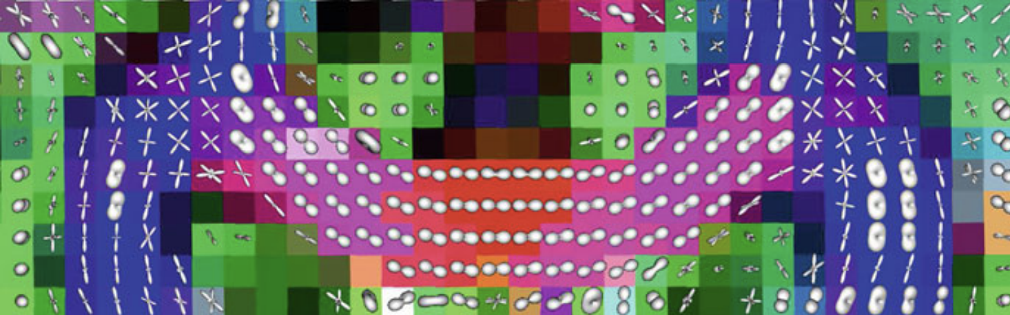 Example of hybrid visualization of CSD [6] and 2nd order ODFs