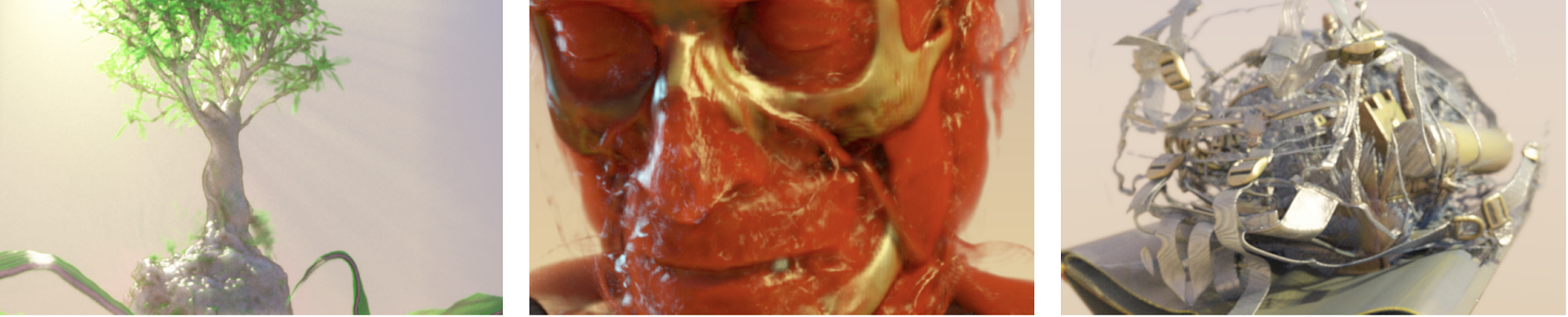 From left to right: rendering of the publicly available bonsai data set, which demonstrates that our method is able to render very thin participating media, Manix and Backpack data set. The examples illustrate how volumetric and surface scattering can be effectively combined in a single volume rendering