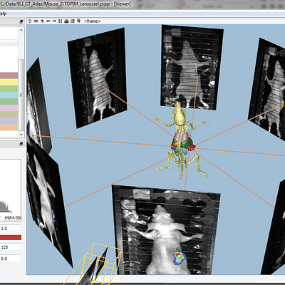 Integrated visualization of multi-modal multi-timepoint small animal imaging data with the cvp