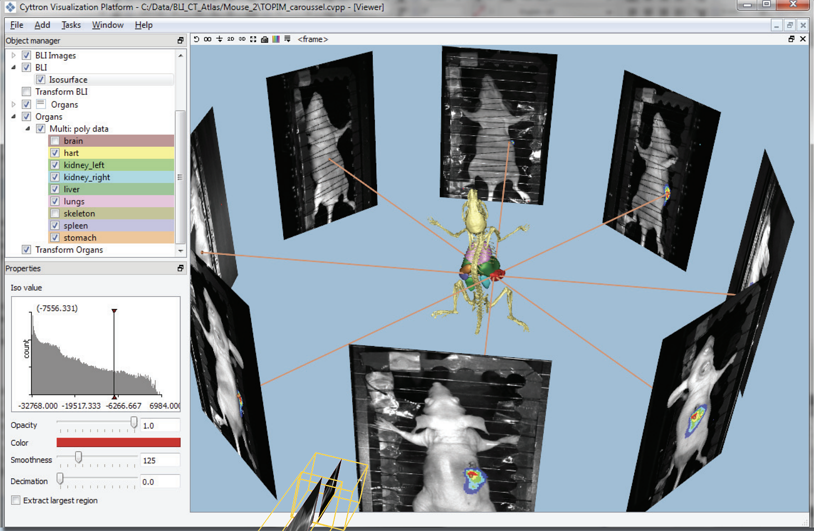 Integrated visualization of multi-modal multi-timepoint small animal imaging data with the cvp