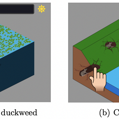 Example of two minigames that introduce new pickups. Left: the aim is to remove duckweed, that blocks sunlight into the canal. Right: the goal is to catch muskrats that build holes in levees.