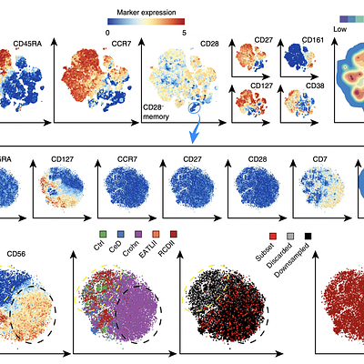 Analysis of the CD4+ T-cell compartment in inflammatory intestinal diseases. a Third HSNE level embedding of the CD4+ T cells (1.4 × 106 cells, selected in Fig. 3). Color and size of landmarks as described in Fig. 3. Right panel shows density features for the level 3 embedding. Blue encirclement indicates selection of landmarks representing CD28−CD4+ T cells. b Embedding of the CD28−CD4+ T cells (2.6 × 104 cells) at single-cell resolution. Bottom-left panel shows yellow and black dashed encirclements based on CD56− and CD56+ expression, respectively. Three bottom-right panels show cells colored according to: (left) from subjects with different disease status (CeD, Crohn, EATLII, RCDII, and controls), (middle) sampling status (annotated subset, discarded by ACCENSE and downsampled) and (right) tissue-of-origin (blood and intestine)