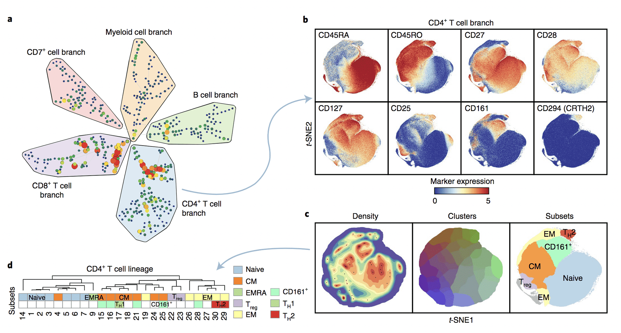 Individually unique and stable immune fingerprints revealed by mass cytometry
