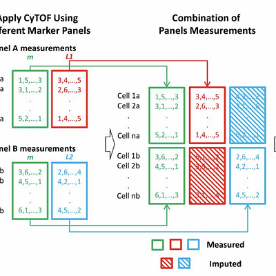  CyTOFmerge pipeline: Split the sample, stain each partial sample with a different marker panel and apply CyTOF to obtain the panels’ measurements. Both panels A and B share a set of markers m (green). L1 (red) are unique markers of panel A, and L2 (blue) are unique markers of panel B. Both panel measurements are combined to obtain an extended markers measurements per cell, which is input to downstream computational analysis as, for example, clustering in a t-SNE mapped domain shown here.