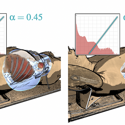 Our initial TF for the PET dataset is defined using only a single value. After defining the α value, the TF can further adjusted if needed.