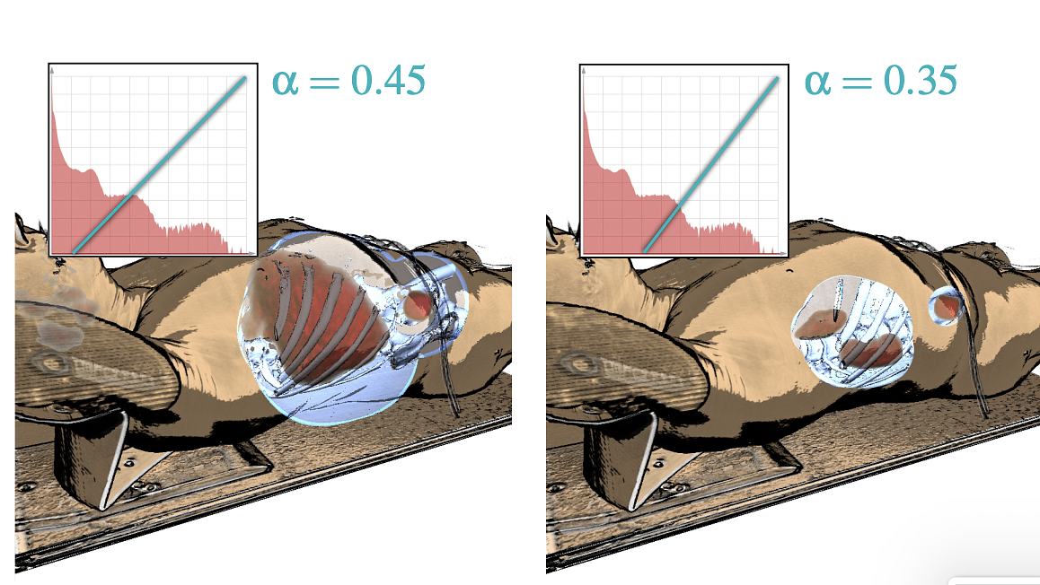 Our initial TF for the PET dataset is defined using only a single value. After defining the α value, the TF can further adjusted if needed.