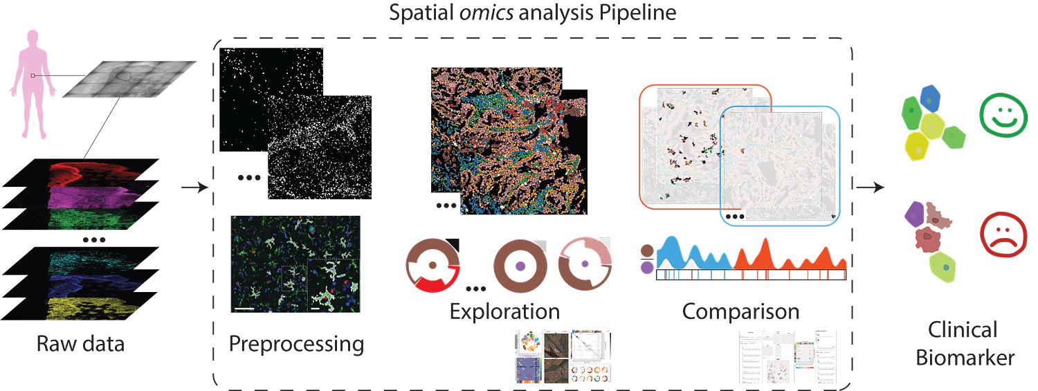 Spatial Omics Visualization Pipeline