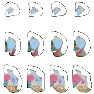 Icon for paper list