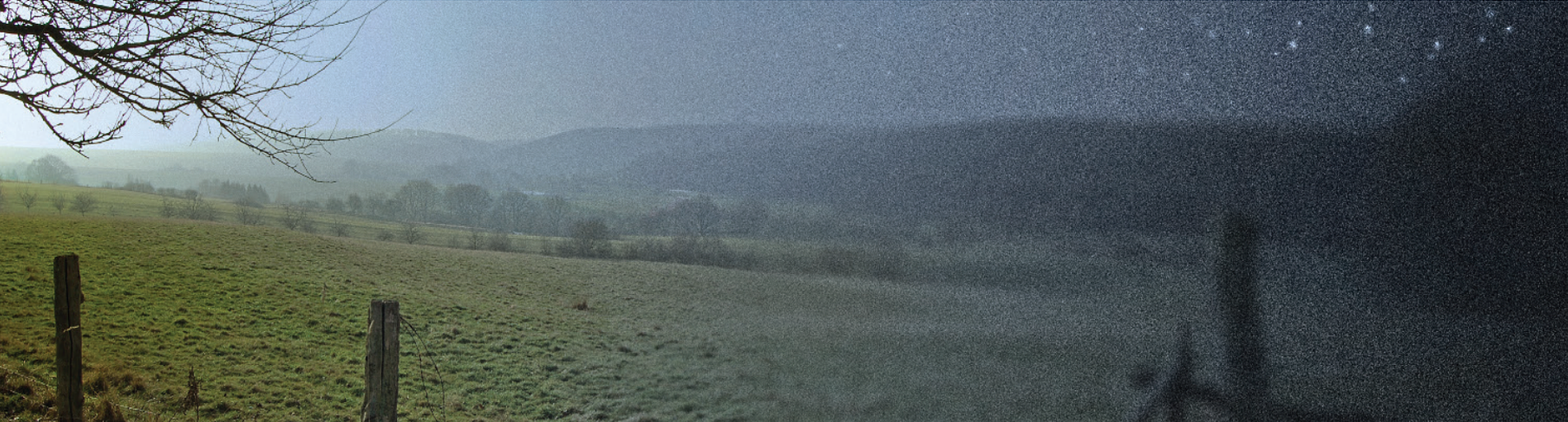 We simulate the change of image appearance between photopic conditions (left) and appearance in scotopic conditions close to the absolute threshold (right), where consistent vision fades into temporally varying (not reproducible in print) noise.