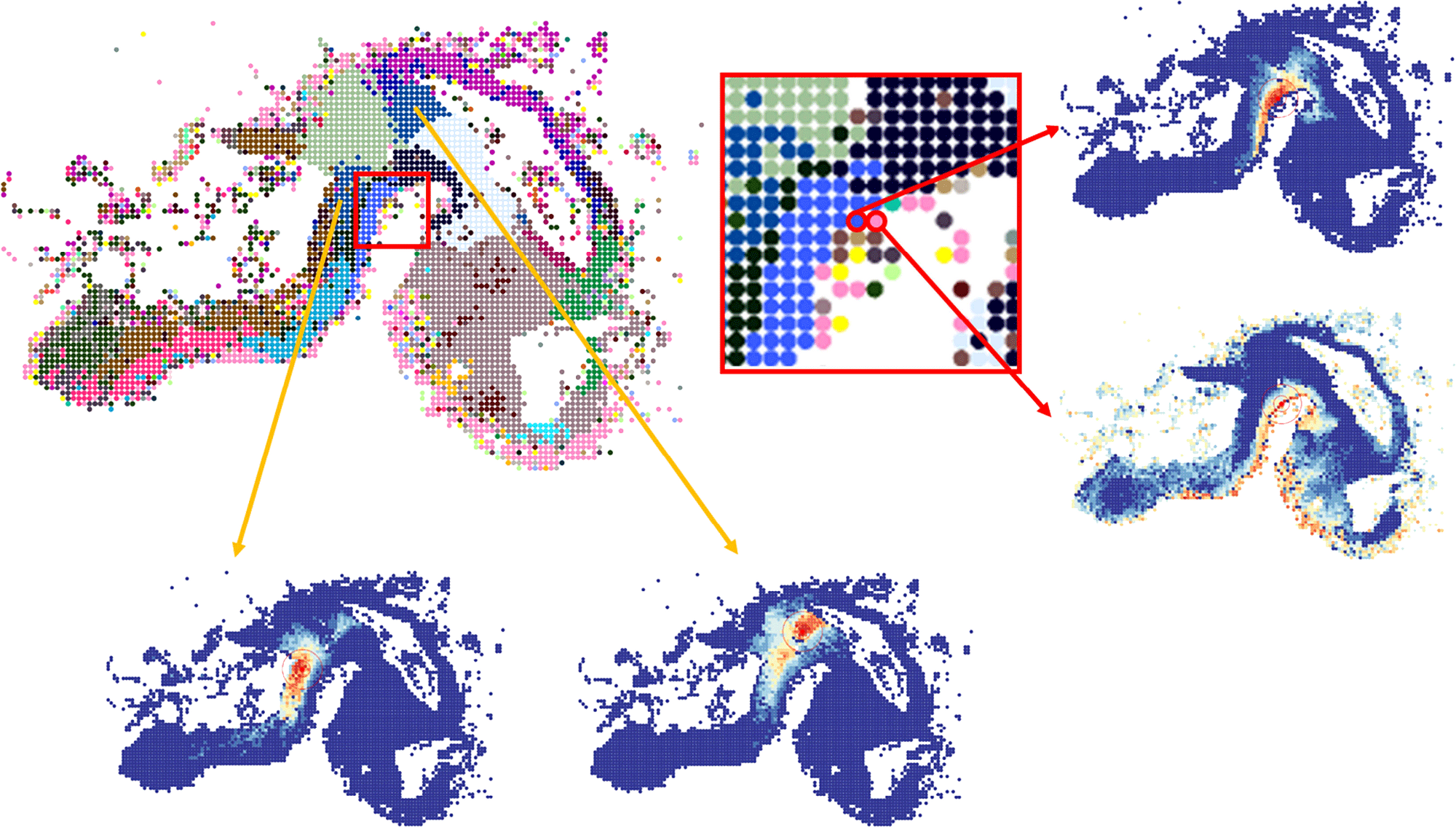 HD neighborhood projections by flood filling agree with subclass annotation in the HybISS data